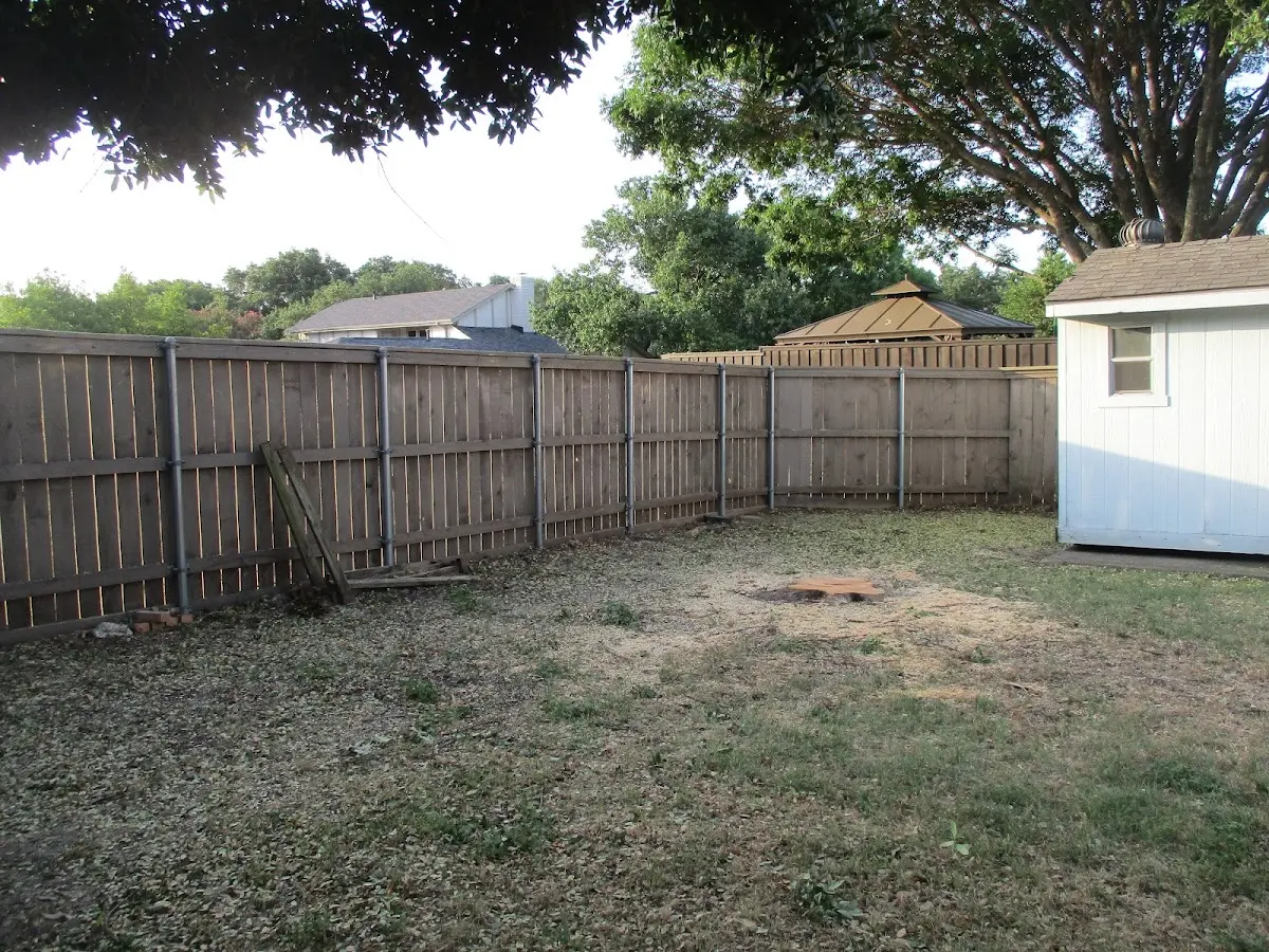 Cleared yard after professional tree removal in Friendsville